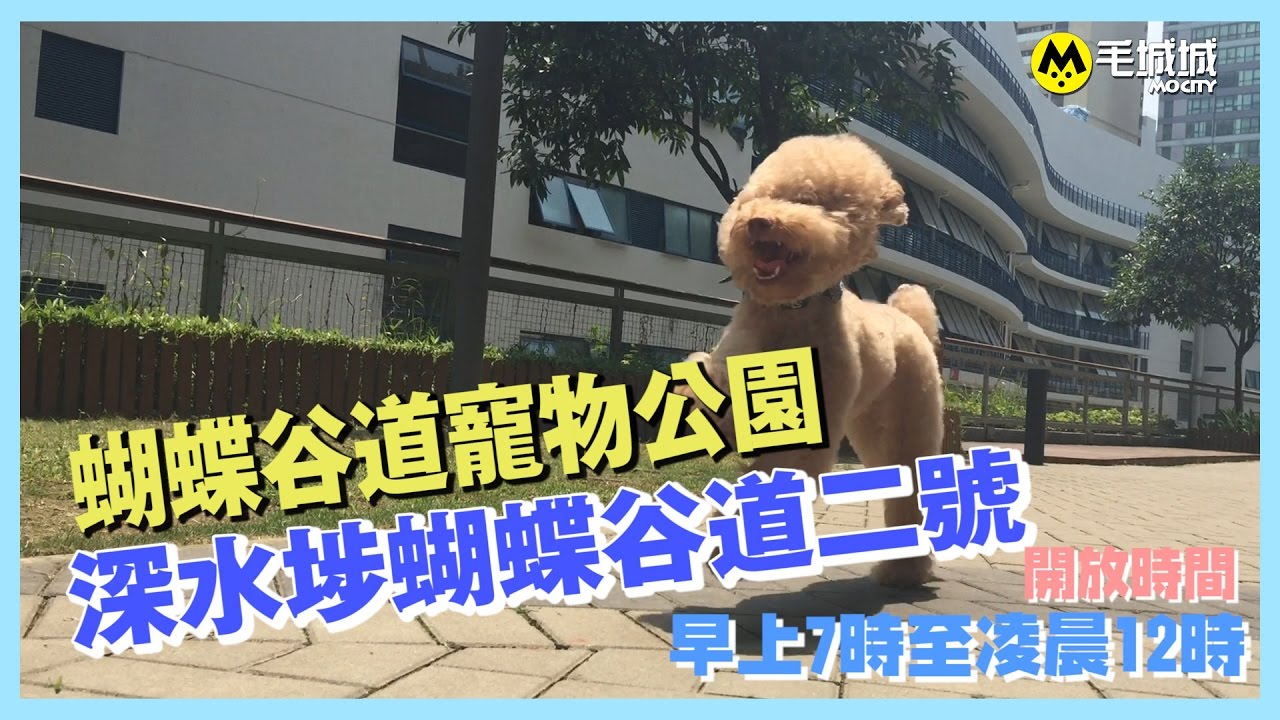 ［ 十八區狗公園 ］蝴蝶谷道寵物公園
