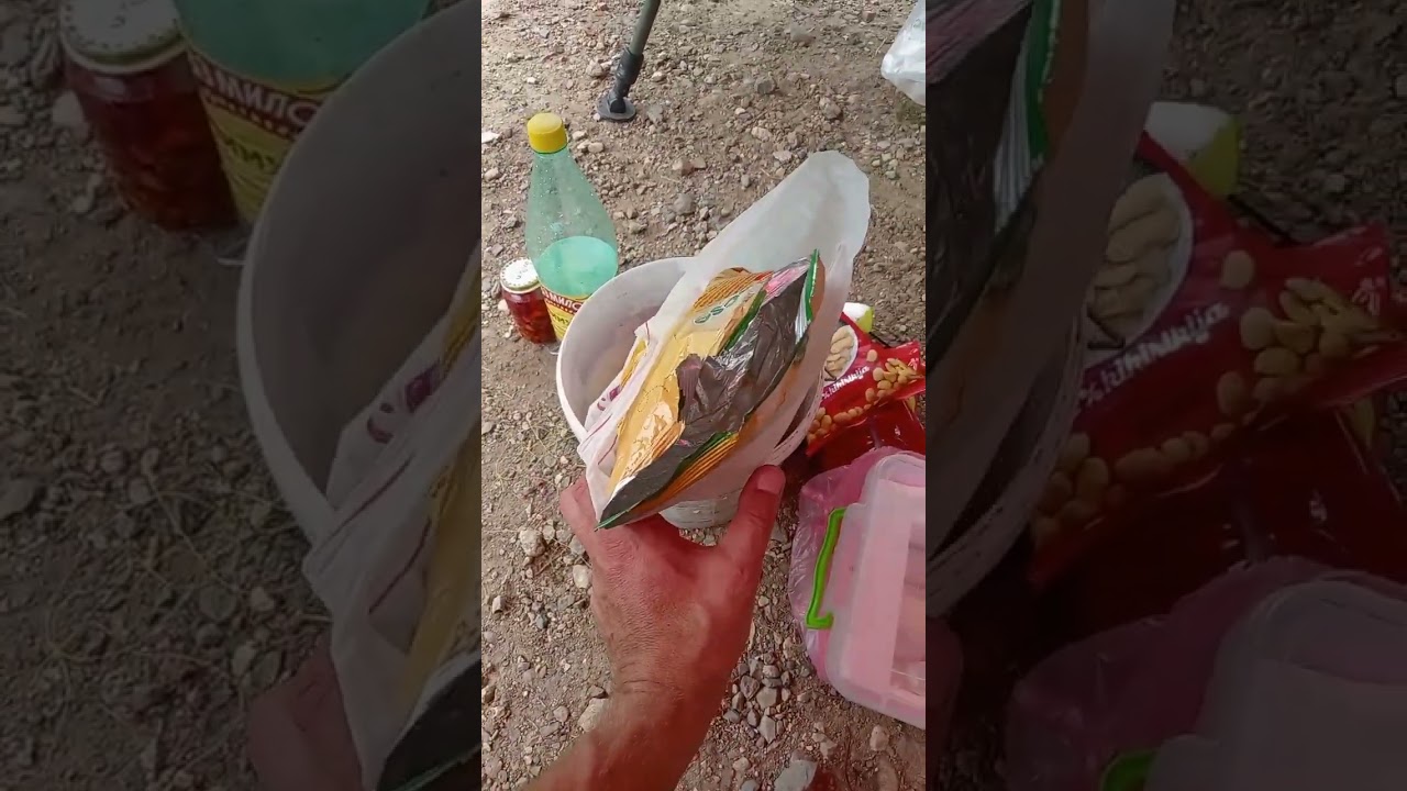 Покушај пецања толстолобика у поречком заливу