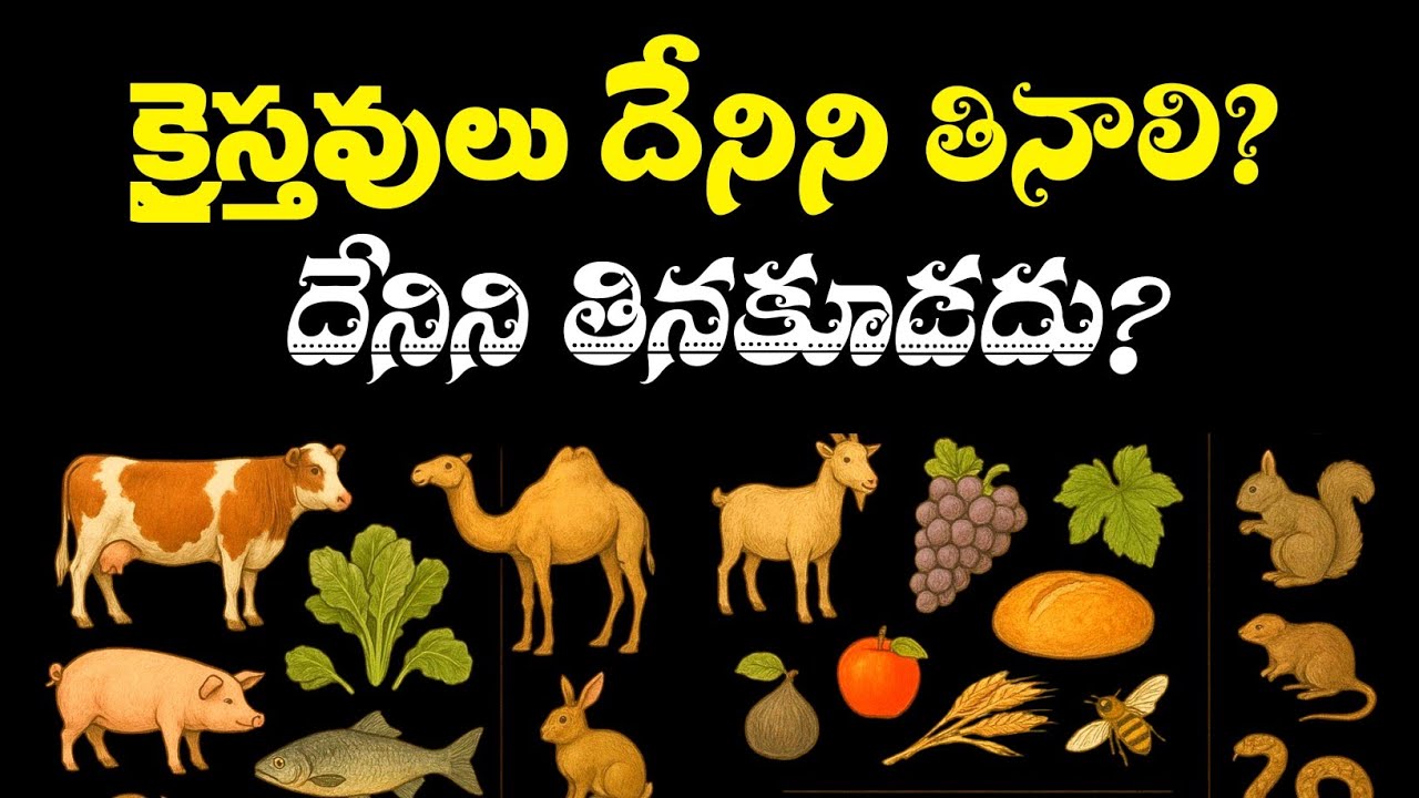 క్రైస్తవులు దేనిని తినాలి? దేనిని తినకూడదు? | What Should Christians Eat & Not Eat | Biblical Truth