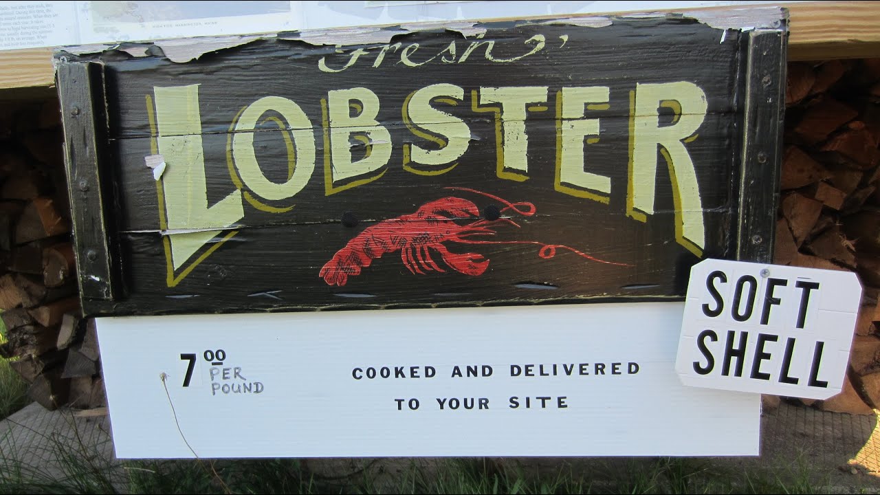 Day 9 & 10 -  Sunset Point Campground, Harrington, ME.