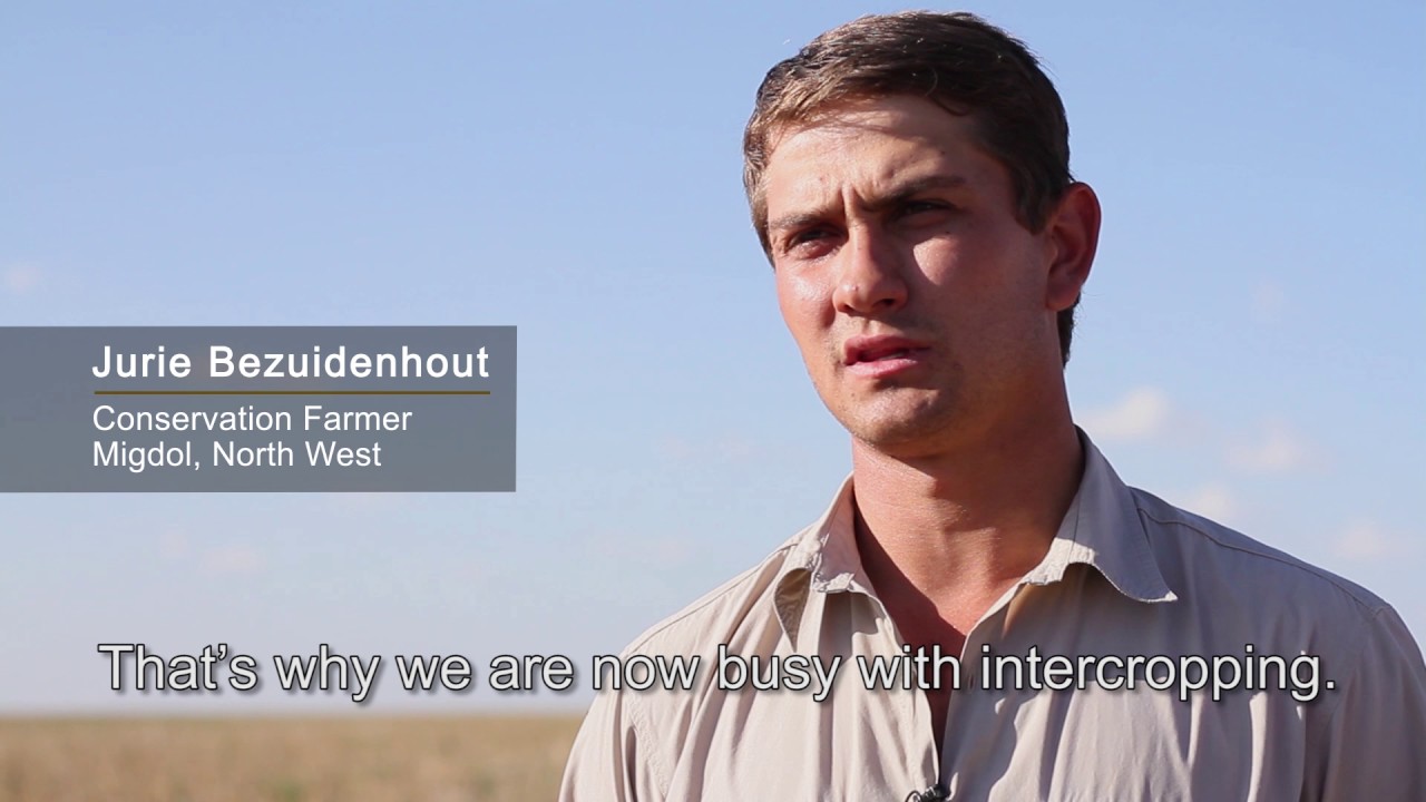 Shepherds of the Soil 1: Reflections on Conservation Agriculture in South Africa