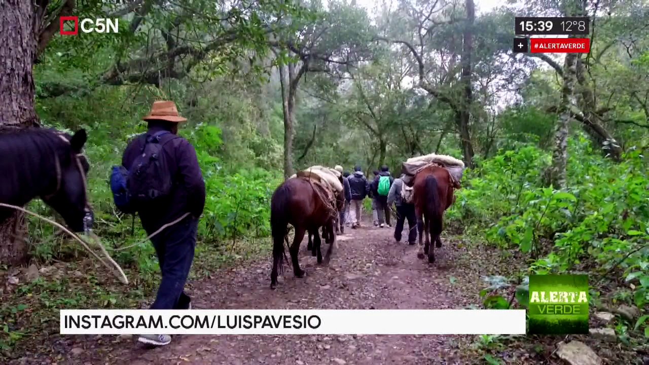 Alerta Verde - Parque Nacional Calilegua en Jujuy (parte 1)