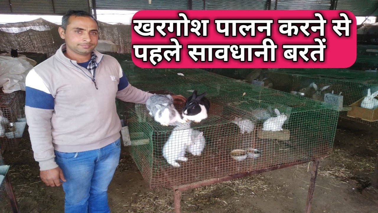 खरगोश पालन के नाम पर कंपनी कैसे करती है धोखा ।  Fraud in the name of rabbit farming