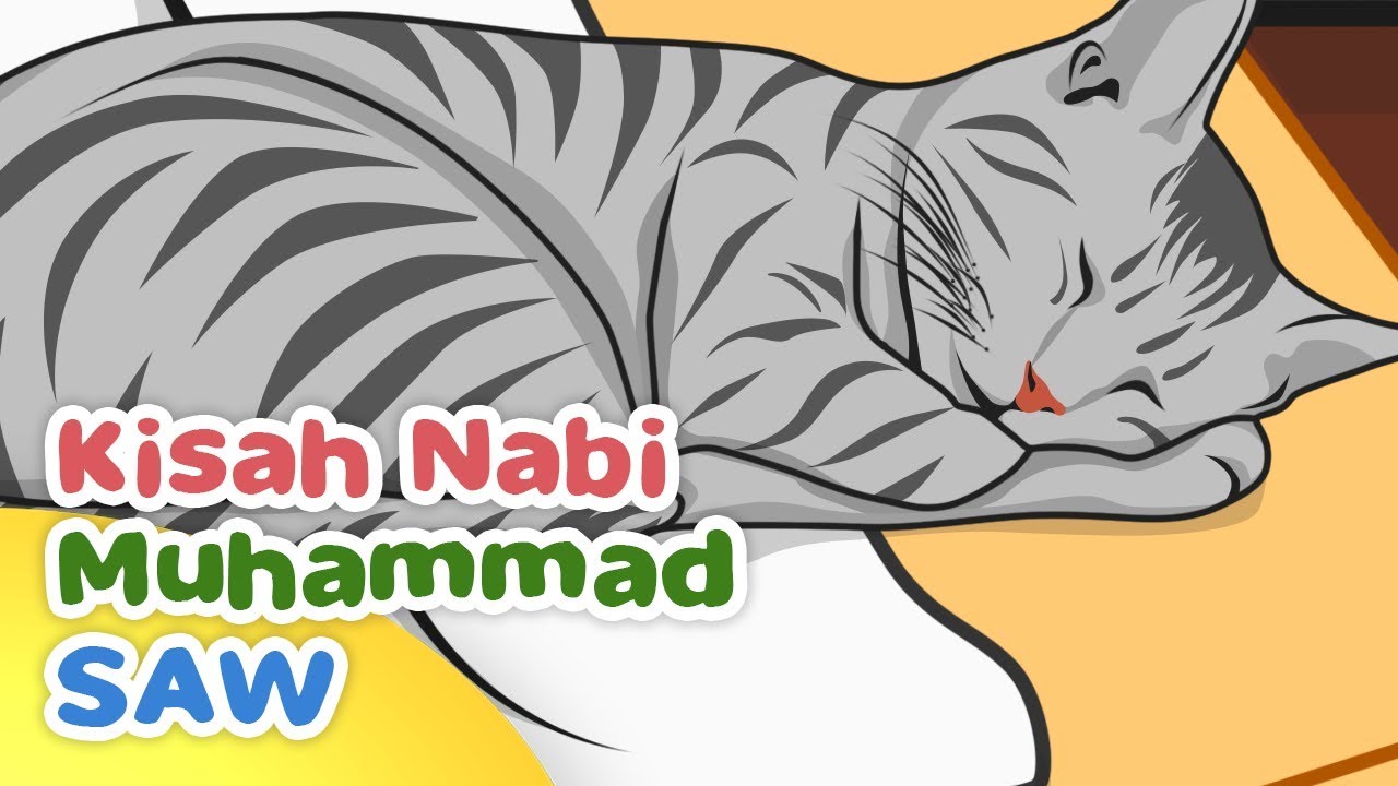 Kisah Nabi Muhammad SAW Keistimewaan Muezza Kucing Rasulullah - Kartun Anak Muslim Indonesia