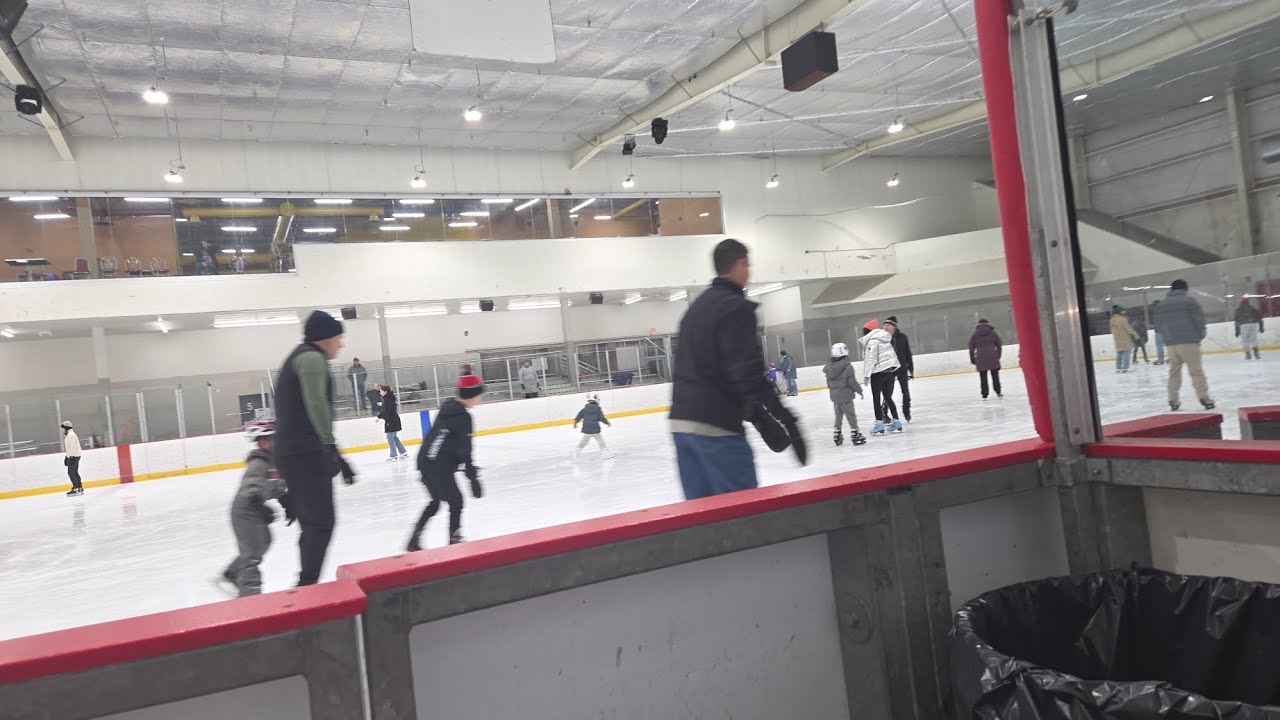 When you want to skate, but rink turns into a zoo