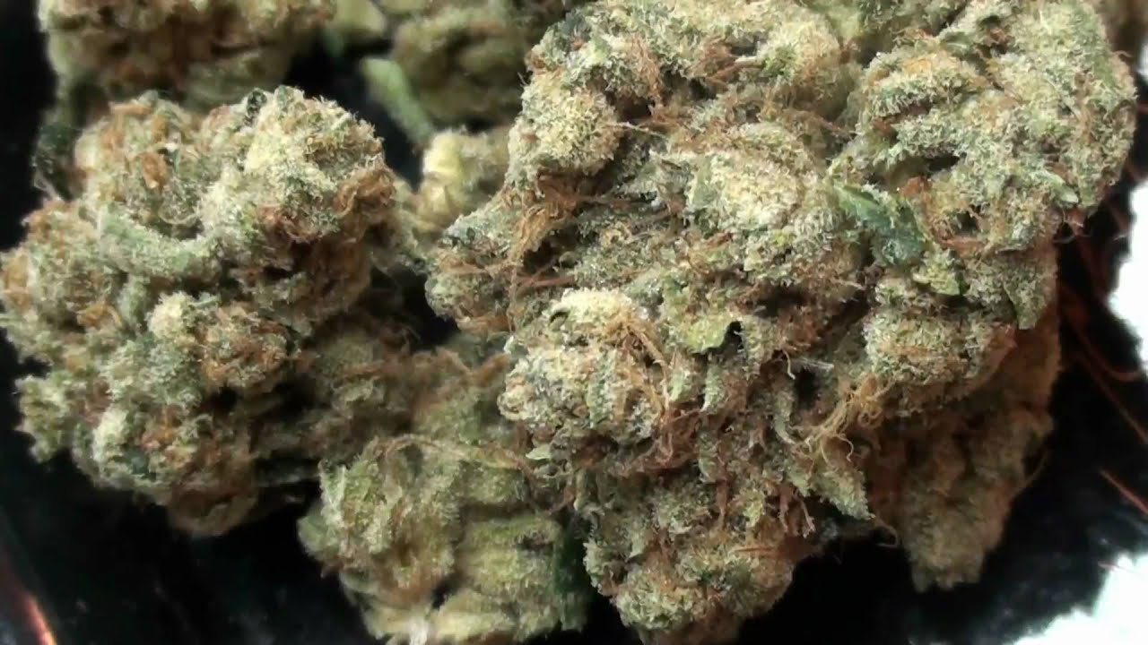 SFV OG x Chem 4 Strain Review (HD)