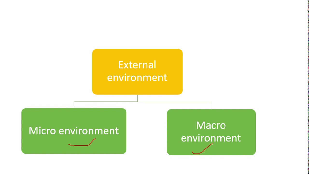 COMPONENTS OF BUSINESS ENVIRONMENT