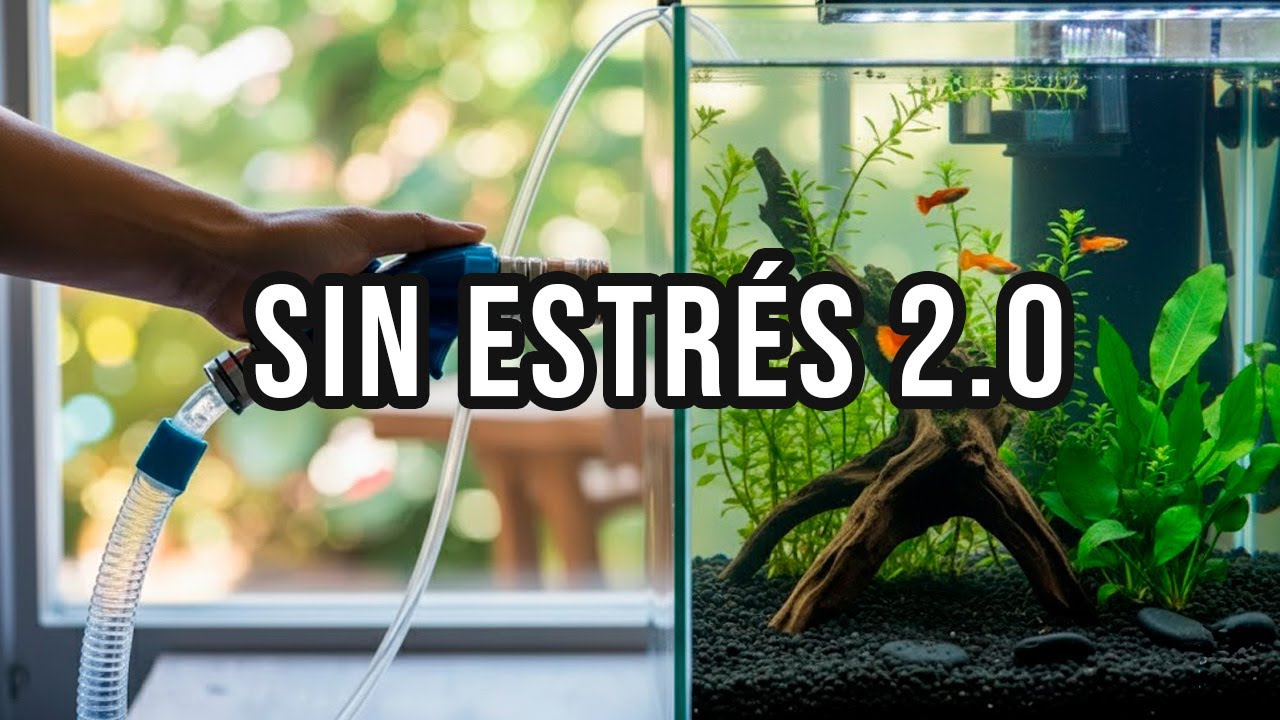 🐠¡Cambia el Agua de Tu Acuario SIN ESTRÉS! versión 2.0