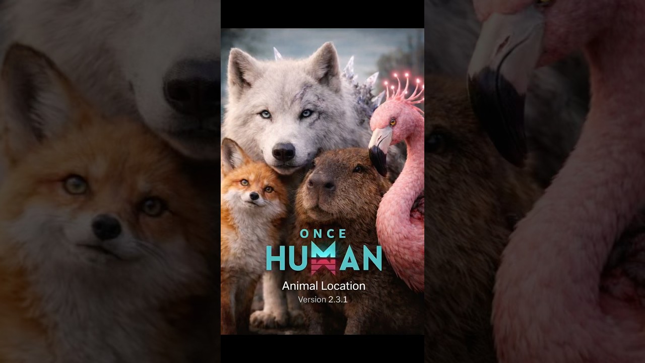 Fox, Wolf, Capybara, and Flamingo location Version 2.3.1 in Once Human game
