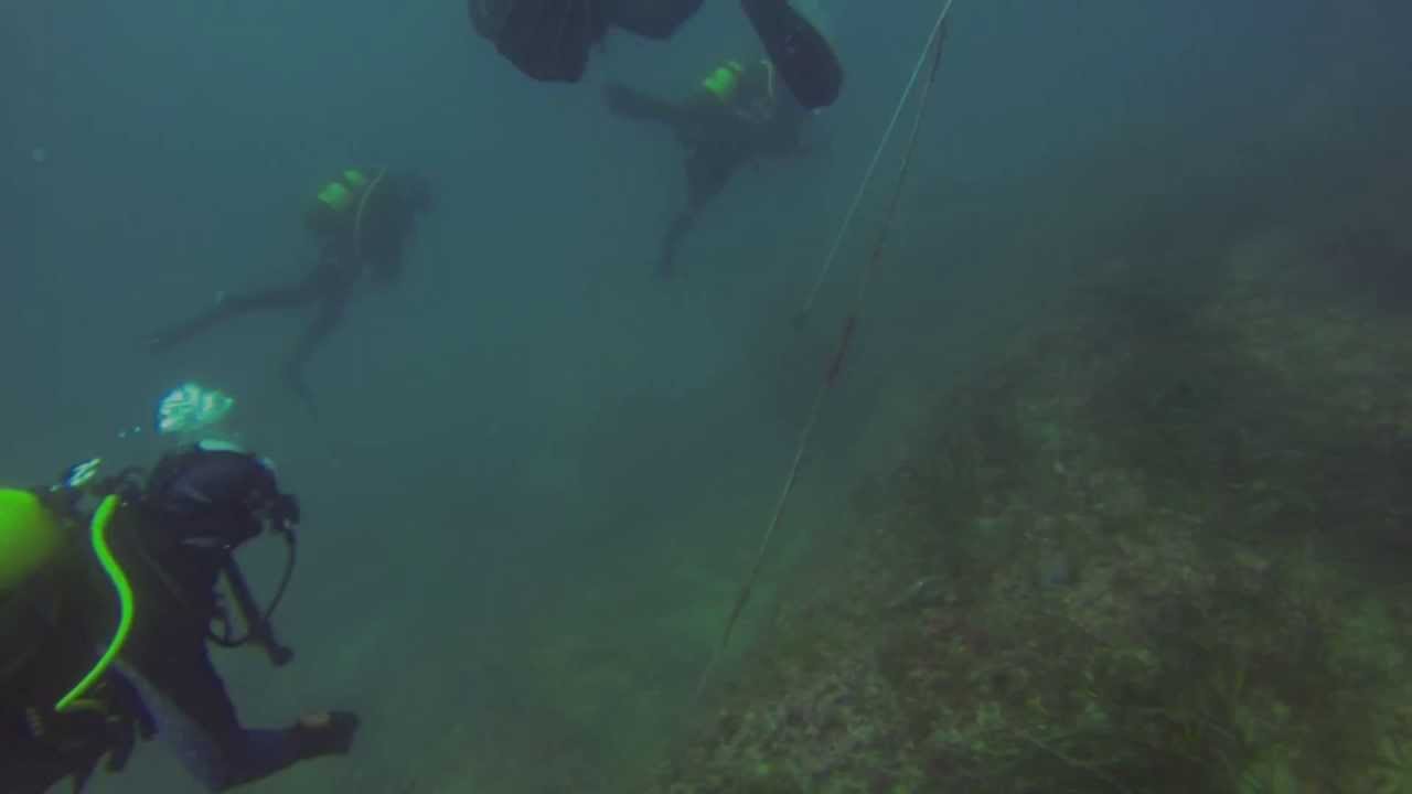 Buceo en el Mogote del Cabo Huertas de Alicante - GOPRO - HD