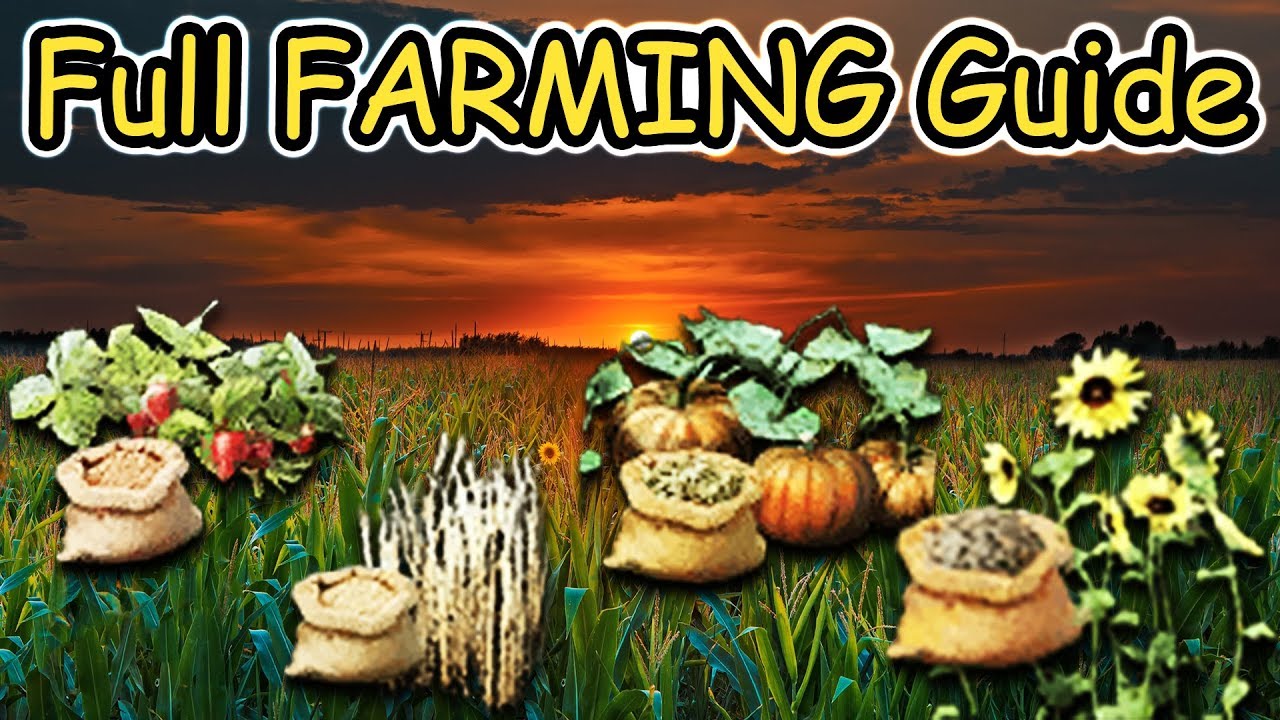 Artisan FARMING in 1 Day | FULL Farming Guide (Black Desert Online)