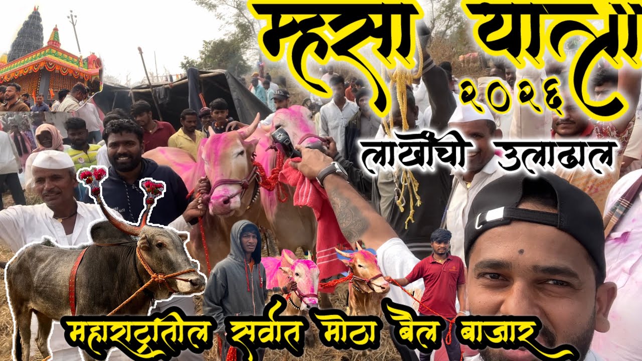 म्हसा महाराष्ट्रातील सर्वात मोठा बैल बाजार | Mhasa Yatra Murbad #mhasa #bailbajar #bailgadasharyat 