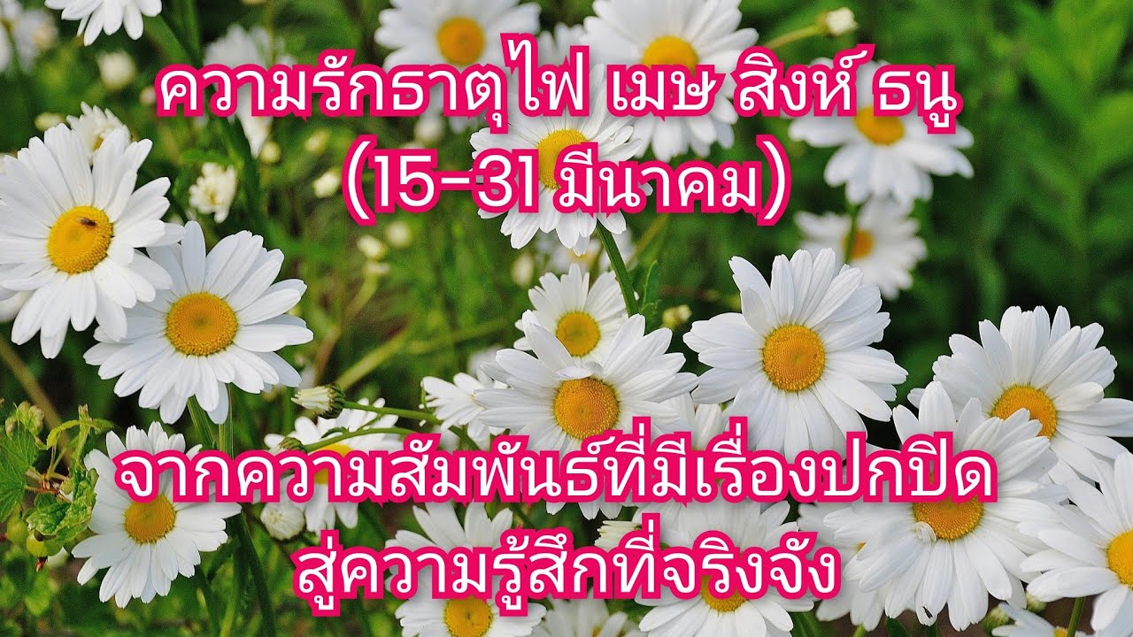 ความรักธาตุไฟ เมษ สิงห์ ธนู (15-31 มีนาคม) #ดวงความรัก #เมษ #สิงห์ #ธนู #tarot #ไพ่ยิปซี