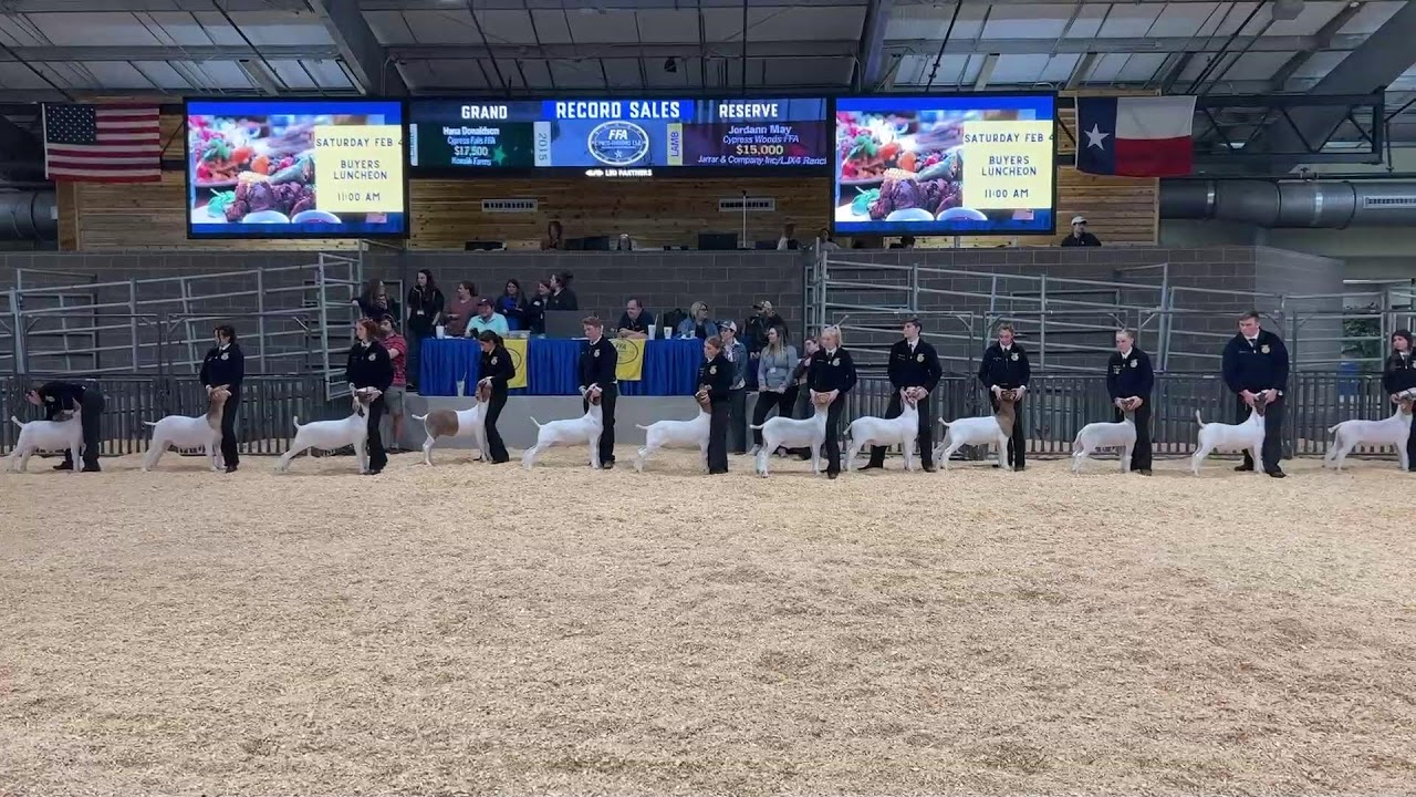 Goat Judging