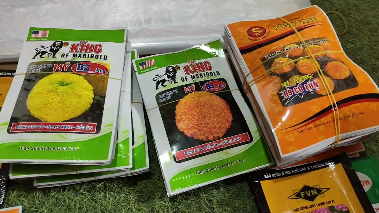 Hạt giống hoa vạn thọ khách ưa chuộng nhất.mua hàng  alo e 0977908949