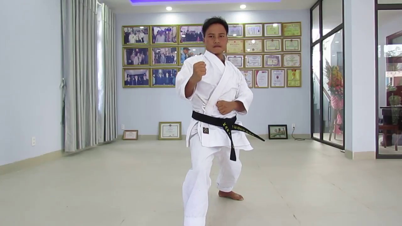 CHƯƠNG TRÌNH THI LÊN ĐAI NÂU KYU 1| shotokan karate do - Kỹ thuật cơ bản