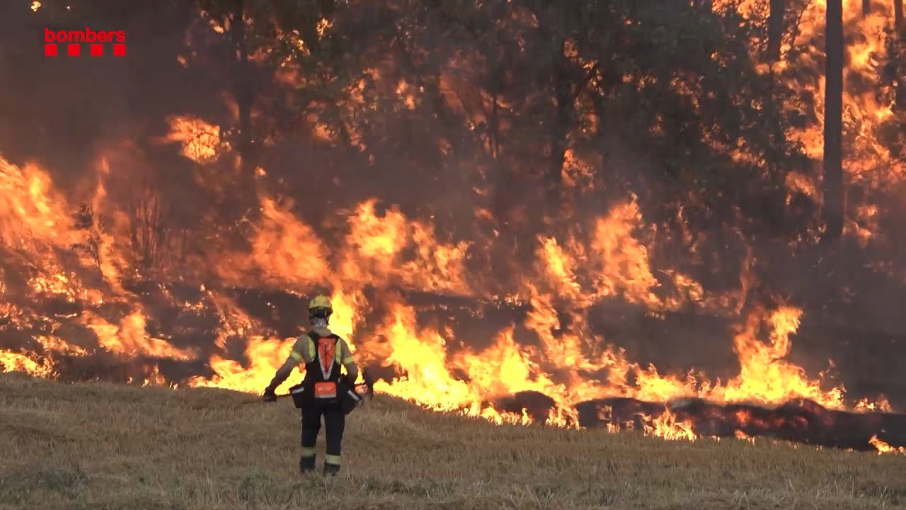 Incendi forestal de Santa Coloma de Queralt (la Conca de Barberà) - 24, i 25 i 26 de juliol de 2021