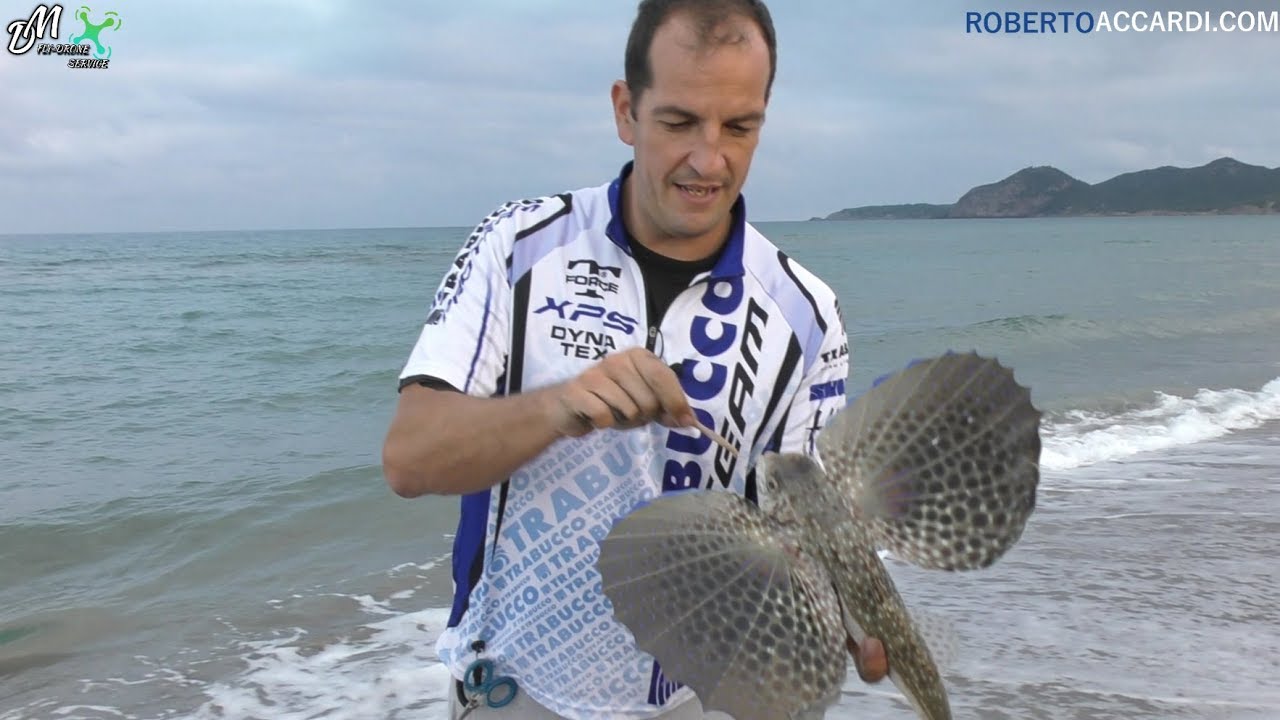 SURFCASTING - Cercando il mare montante