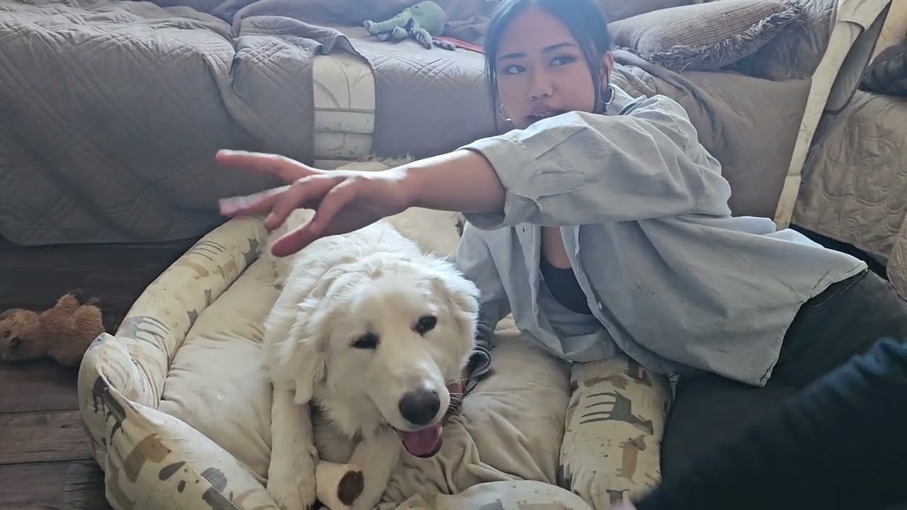 @Pur Puppy Playing her BONE Marrow