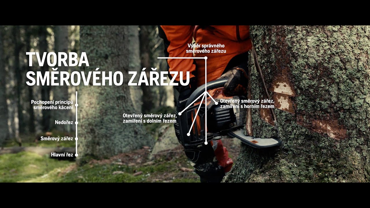 Chainsaw Academy - kácení stromu bezpečně a efektivně