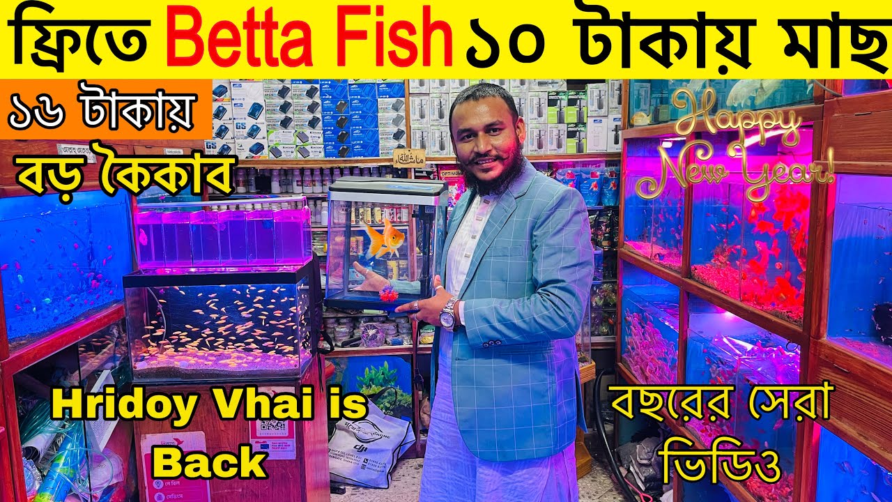 Aquarium Price In Bangladesh🐠Aquarium Fish Price In Bangladesh 2025😱 Aquarium Fish Price In katabon