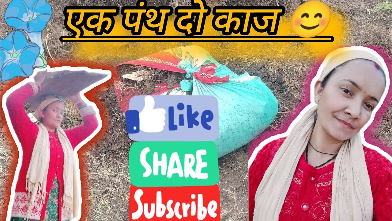 इसे कहते है एक पंथ दो काज (खेतों का काम भी हो गया शुरू )#phadilifestyle  @misspoojarawatvlogs3951 