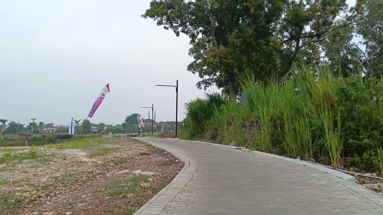 Navara city park
