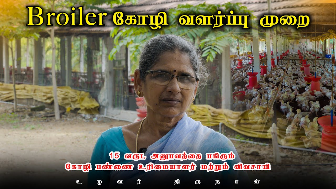 Chicken farming system | 40day  1 lakh profit | Complete information | @uzhavarthirunal