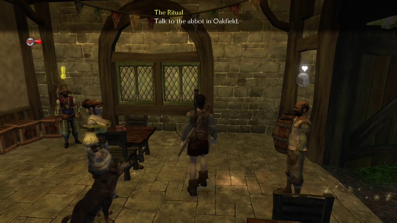 Fable 2 Funny Moment