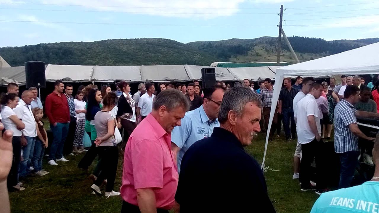 Vasar u Trijebine 2014