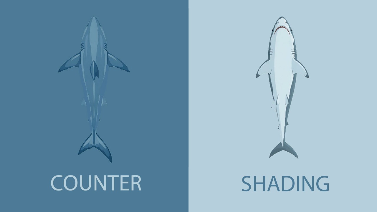 Ocean’s Perfect Predators