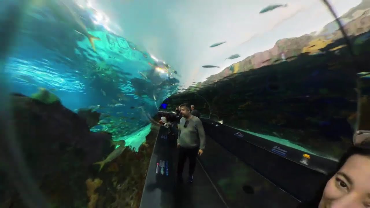 Ripley's Aquarium of Canada