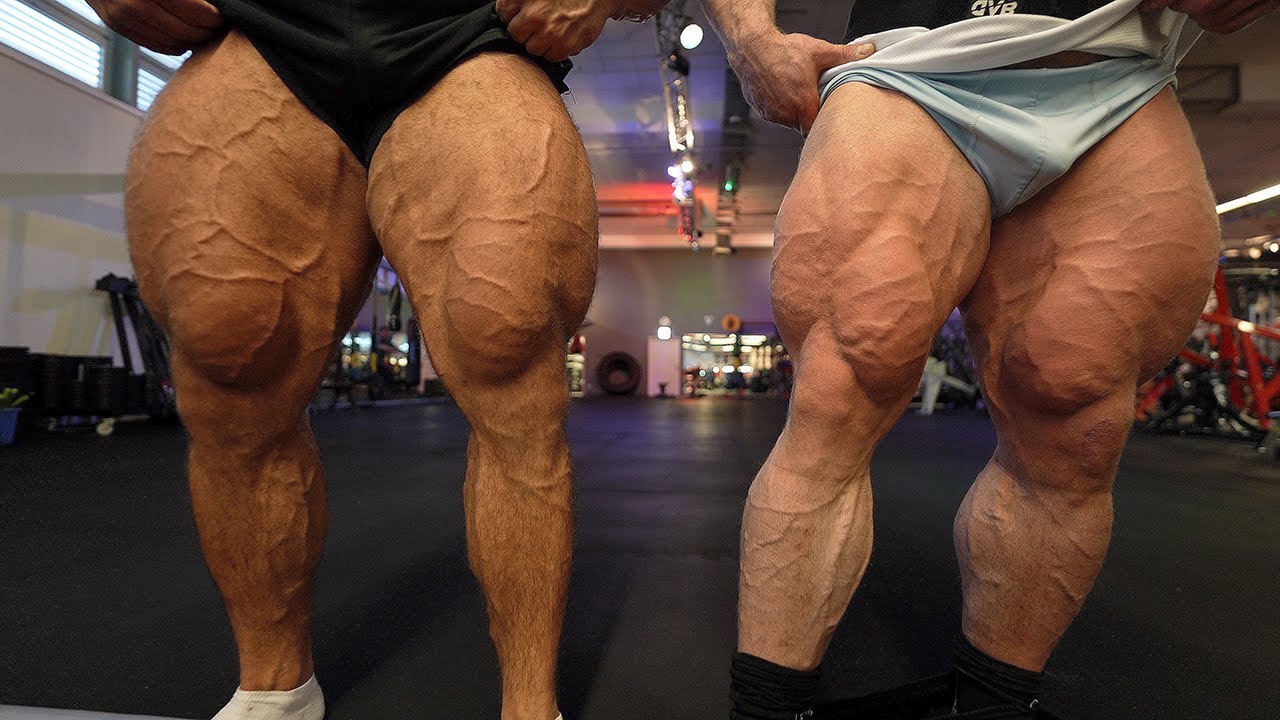 Ein stabiles Training ohne wilde Wissenschaft | LEGDAY