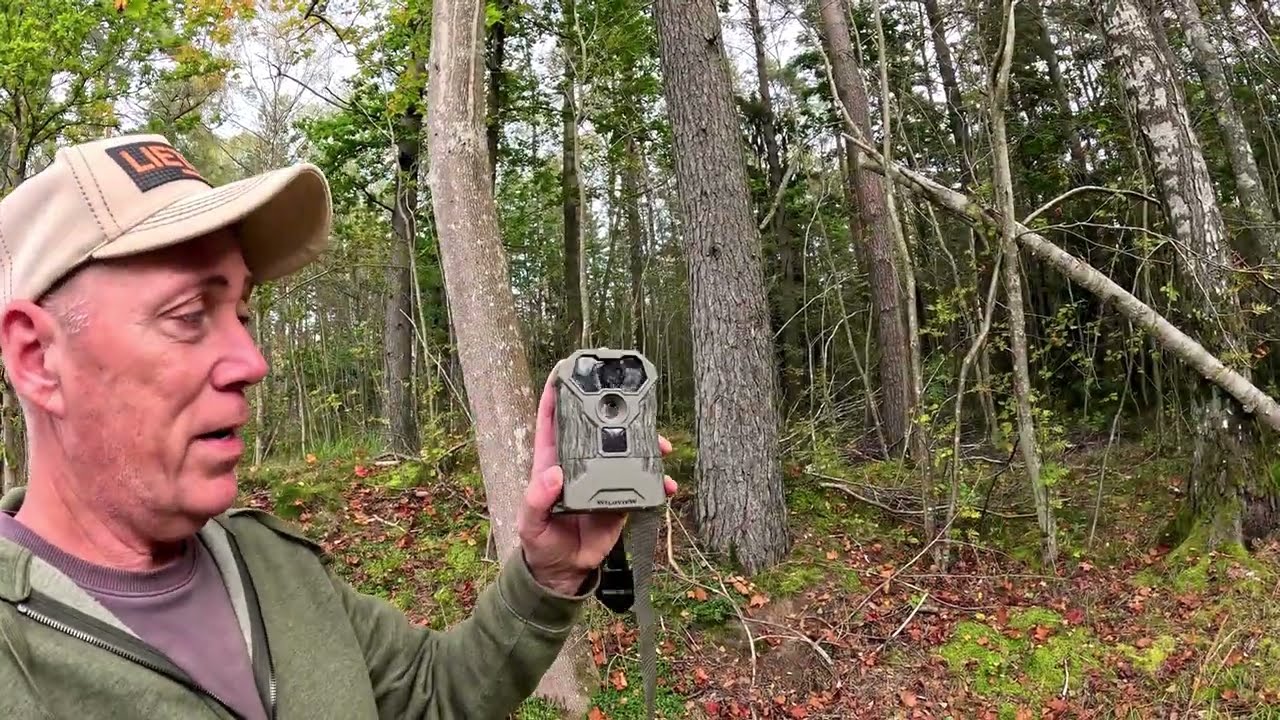 Autumn Chores | ATV Tire Change | Trail Camera Update