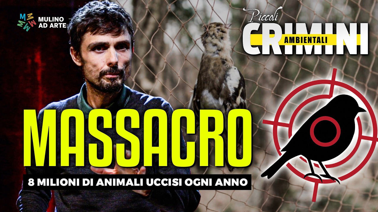 BRACCONAGGIO: il massacro SILENZIOSO della fauna italiana, 8 MILIONI di animali uccisi ogni anno