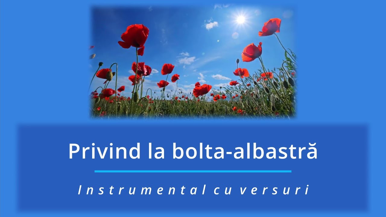Privind la bolta-albastră - Negativ (Instrumental cu versuri)
