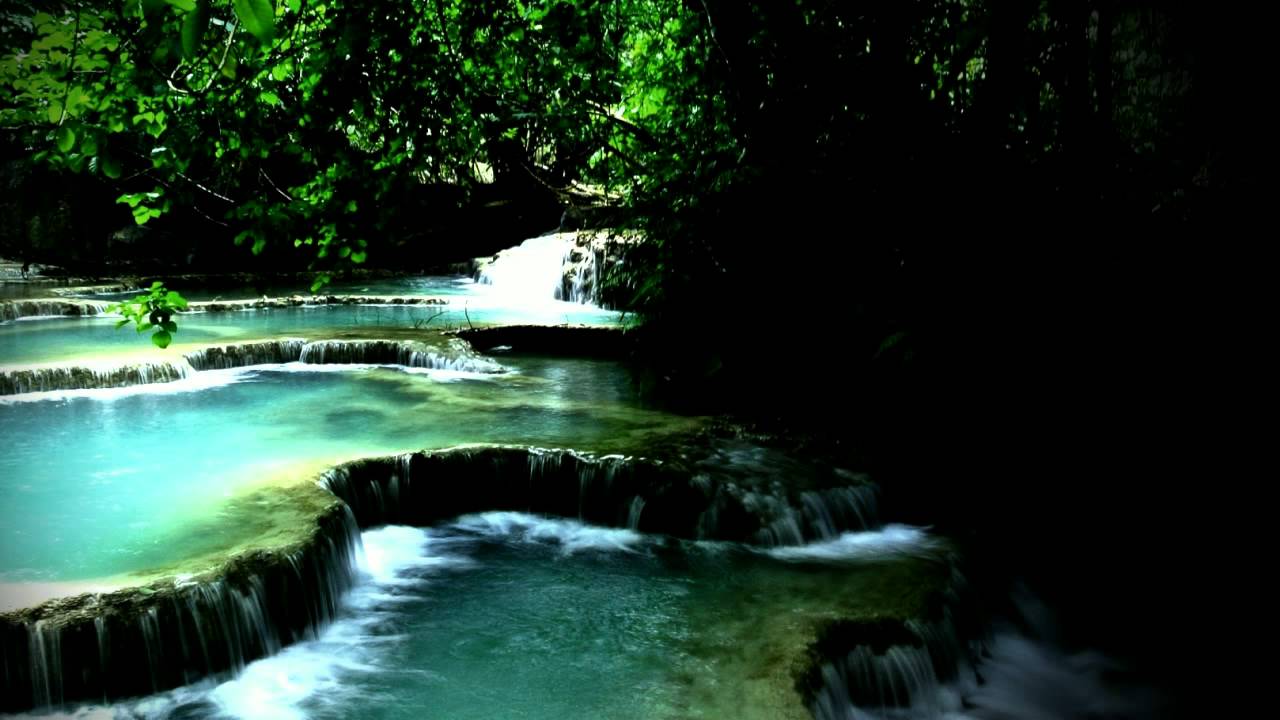 Rainforest Nature Ambient Sounds | Royalty Free