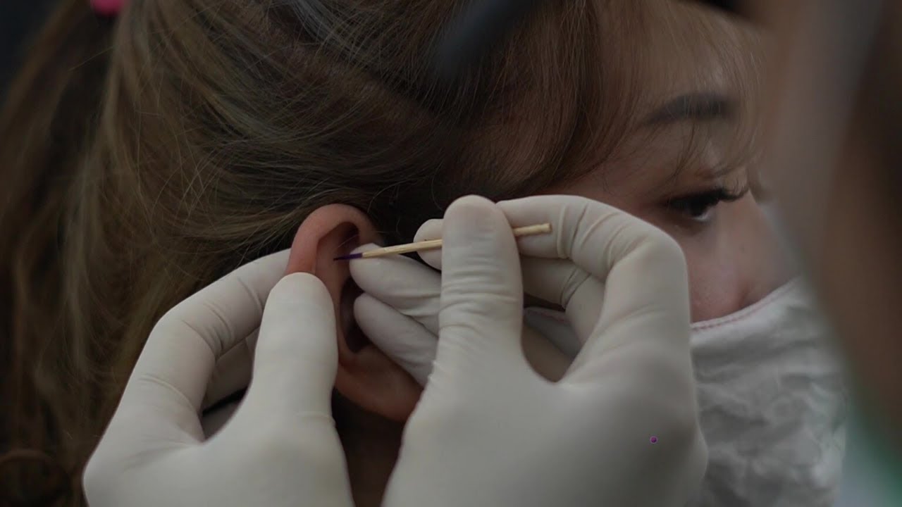 🔴 LIVE Flat Piercing - Indonesian Piercer | piercingindonesia.com