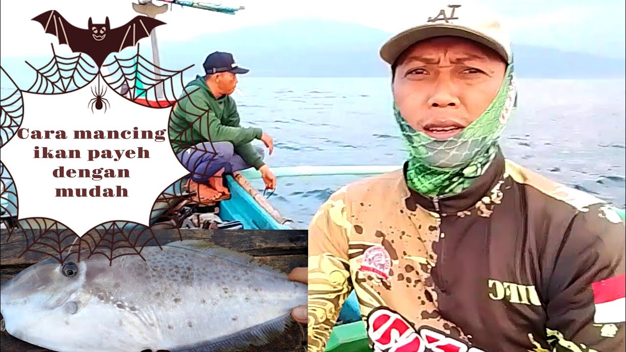 Cara Mancing Ikan ayam ayam/Cipaye dengan Mudah