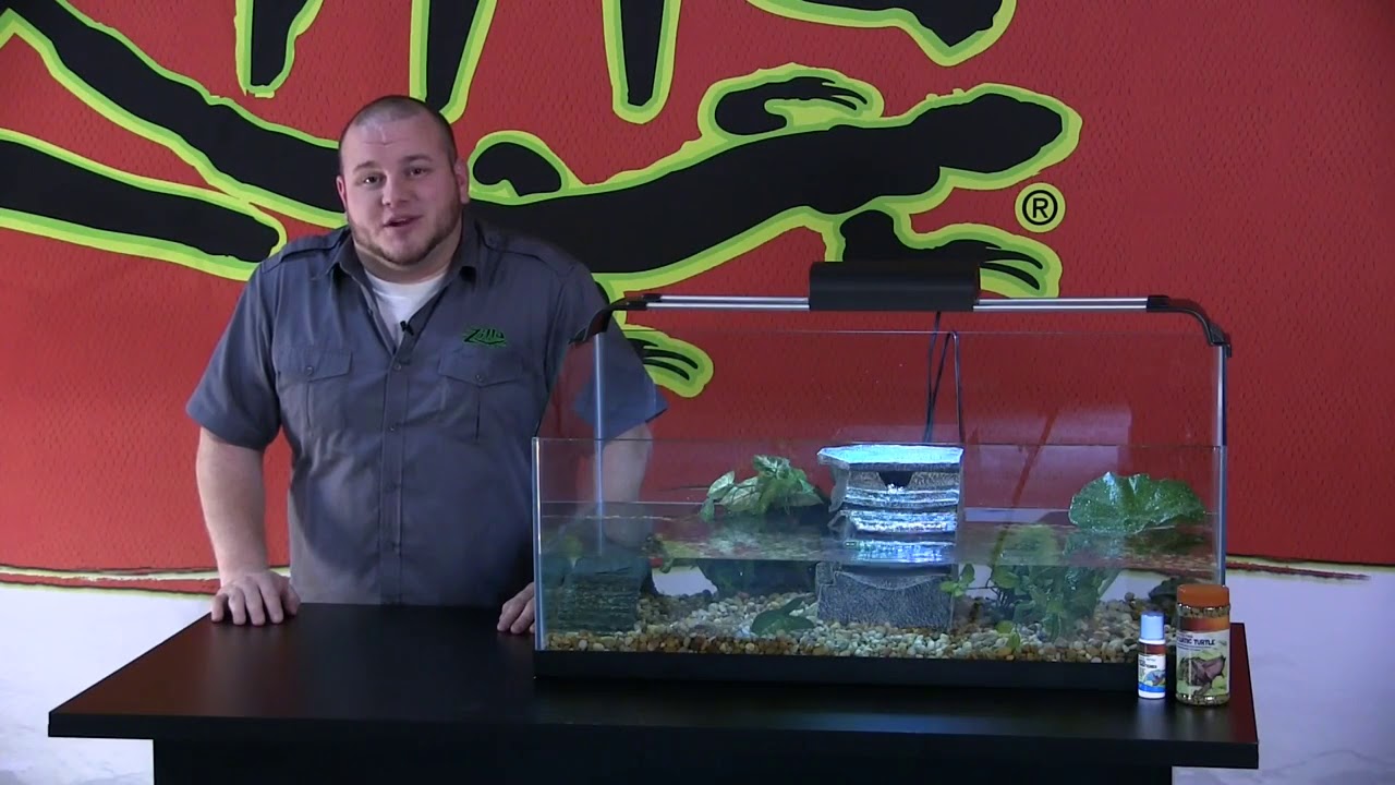 Zilla | Premium Aquatic Turtle Kit - Starter Turtle Kit
