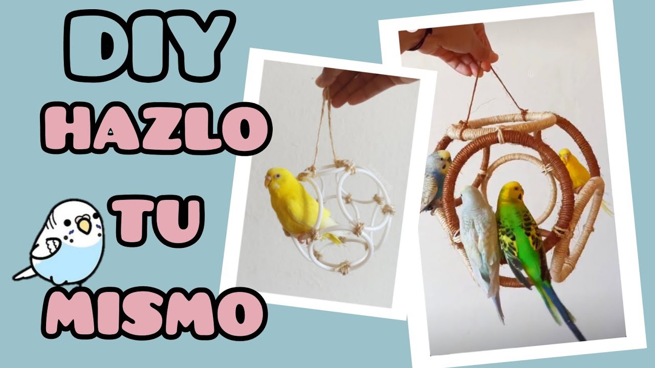 Pelota ⚽ juguete casero 💡 | DIY | Periquitos Australianos