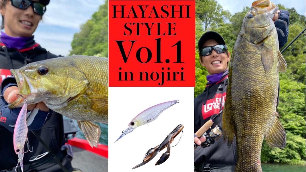 【バス釣り】2つのリグを使ってスモールマウスバスを釣りまくる！HAYASHI STYLE vol.1