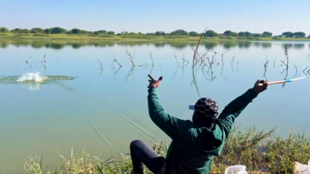 Fish Fishing videos | Fish | fish videos | Fish Catching Videos | Fishing | Fishing techniques 