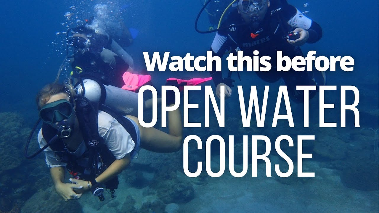 Чего ожидать от курса PADI Open Water | Советы для начинающих дайверов