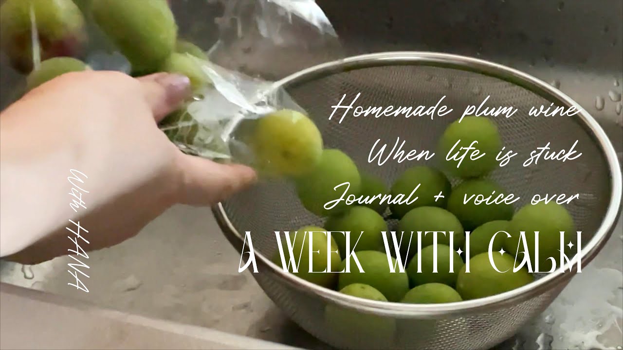 A Week with Calm in Tokyo: Homemade Plum Wine, Calico Cat HANA, and When Life is Stuck