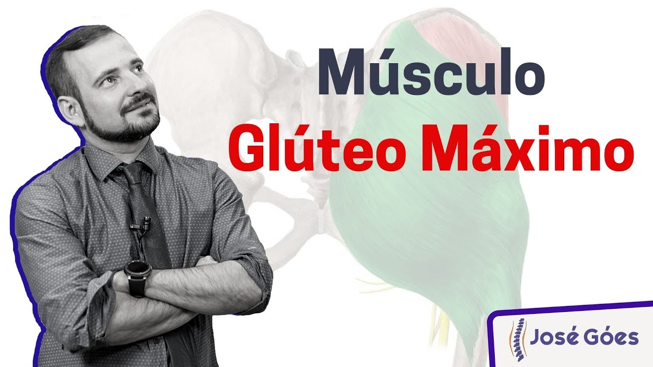 Músculo Glúteo Máximo | José Góes