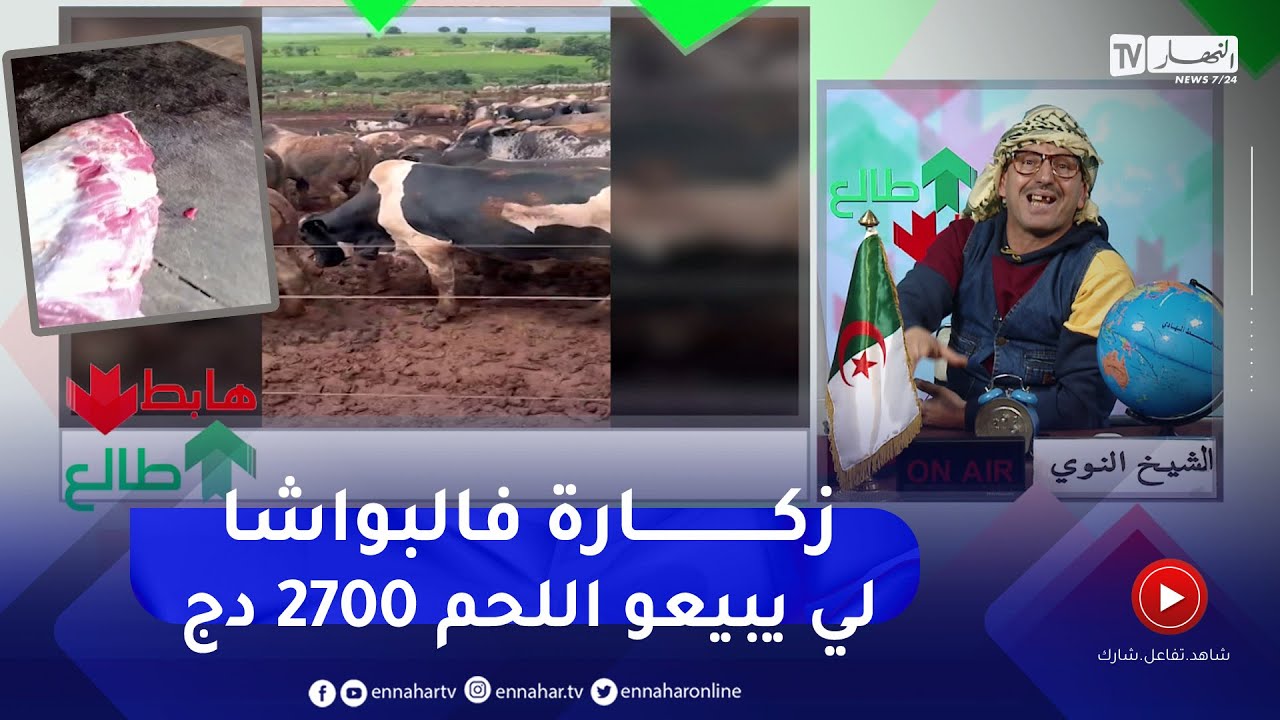 طالع هابط: النوي يقصف مافيا اللحم  راهي جات 10 ألاف عجل زكارة فيكم يا لي ما تخافوش ربي
