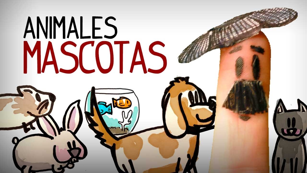 Los animales: mascotas. Aprender vocabulario espa&ntilde;ol