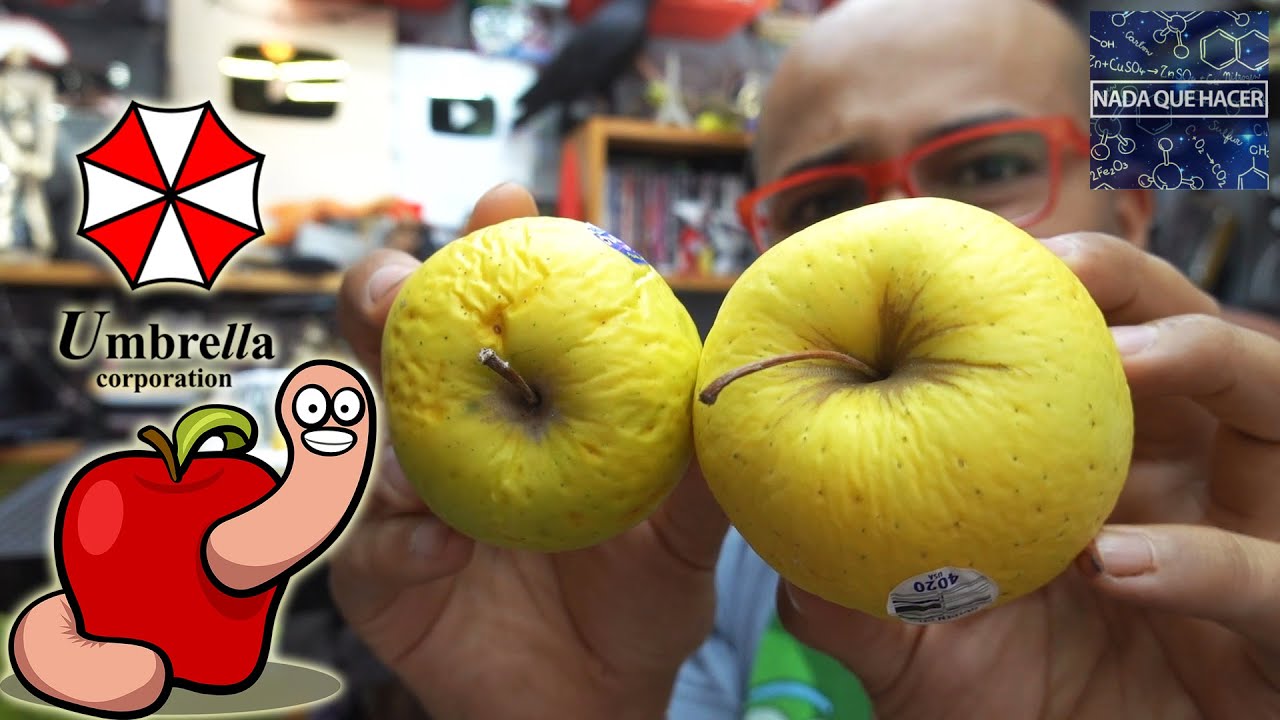 ES MALO LAVAR LA FRUTA AL TRAERLA A CASA, TE EXPLICO POR QUE CON MANZANAS |NQUEH