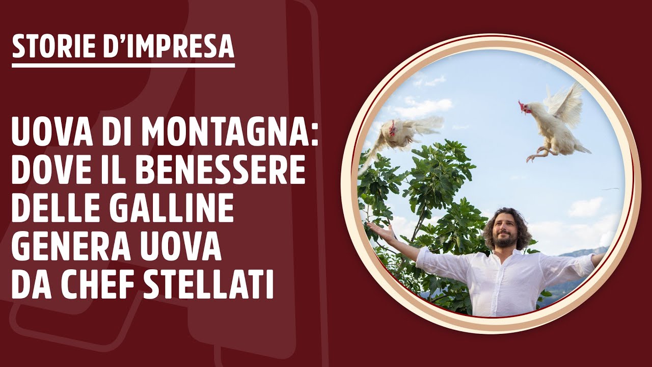 Uova di montagna: dove il benessere delle galline genera uova da chef stellati | Storie d'impresa